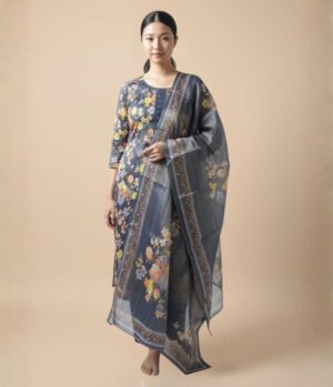 Organza Salwar Suit